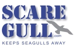 SCARE GULL