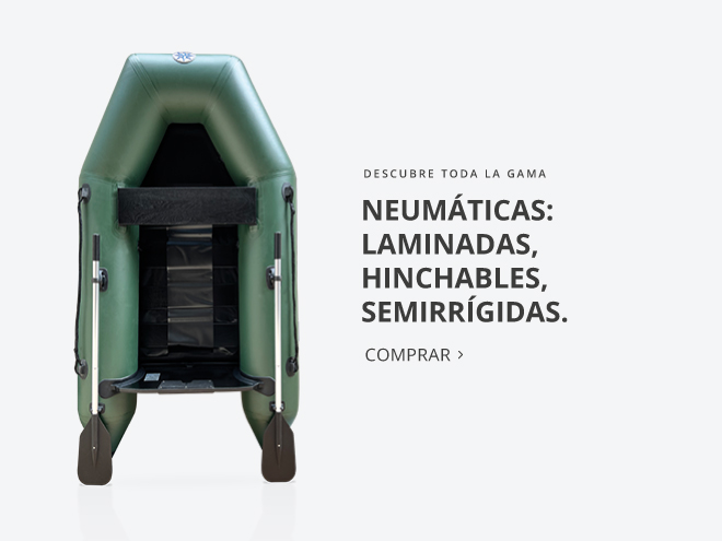 Neumaticas