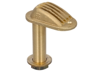 CONCHIGLIE