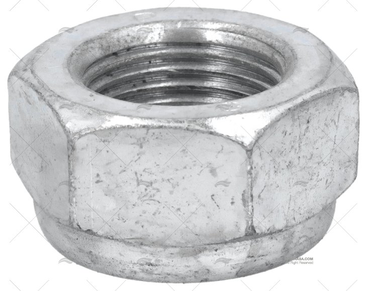 DADO RADICE LATO PIASTRINA ASSE 35mm ELICHE RADICE