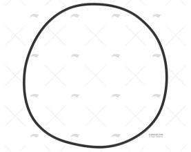 GUARNIZIONE FILTRO 1162-3 3"4"1164-6 2"1/2 3e4 GUIDI