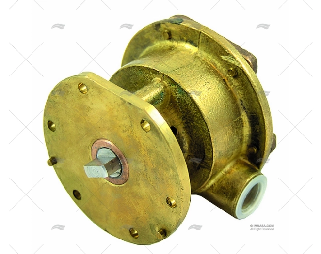 WATER PUMP MOTOR TYPE F4B-9 JOHNSON JOHNSON - SPX