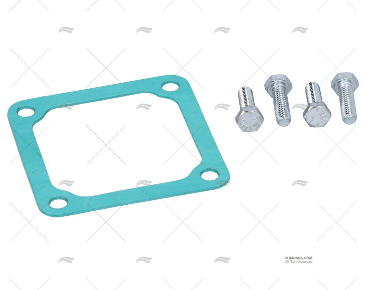 GASKET WITH SCREW