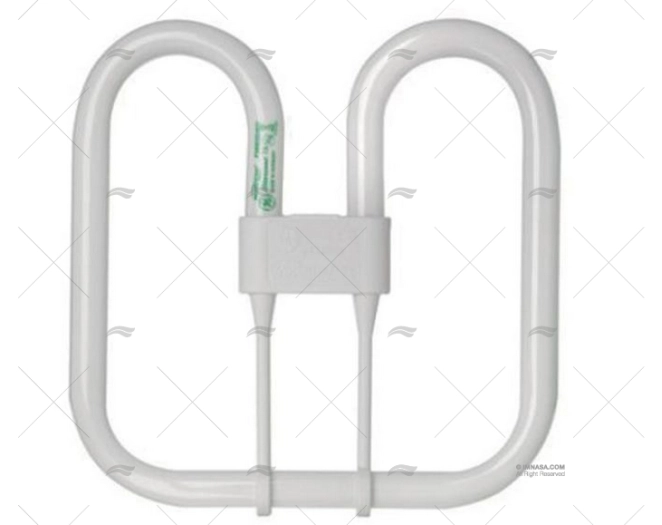 LAMPADINA BIAX 2D 38W GR10Q 835