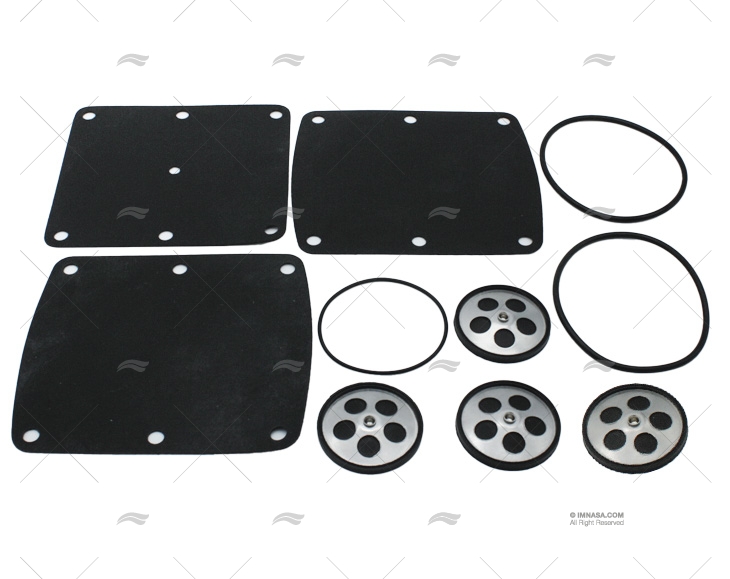 KIT DE REPARAÇÃO BOMBA AM30/2 24V FEIT POMPES
