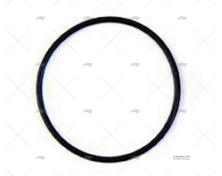 GUARNIZIONE TORICA POMPA F2P10-19 JOHNSON - SPX