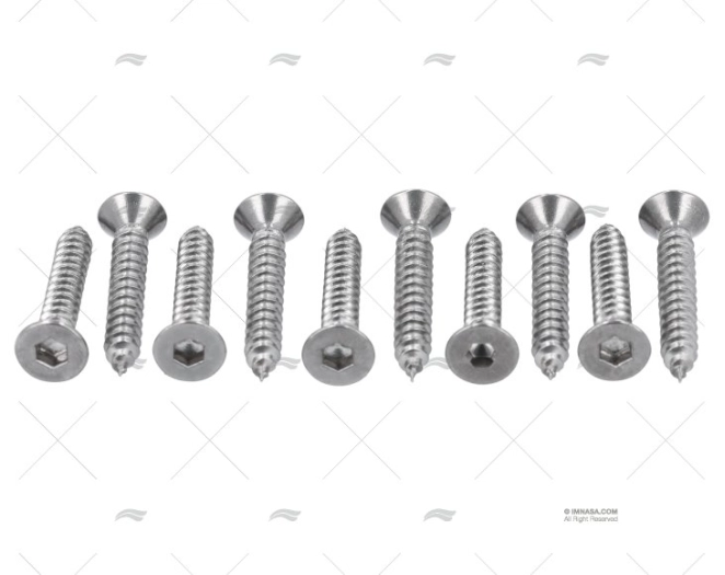 VITE AISI316 4,2x25mm TESTA.ESAG. 10pz