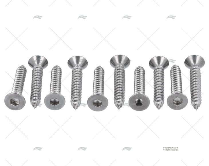 VITE AISI316 4,2x25mm TESTA.ESAG. 10pz