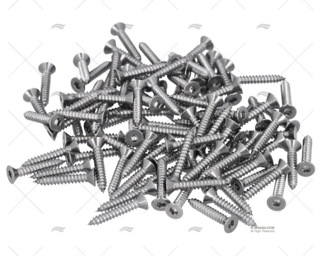VITE AISI316 4,2x25mm TESTA.ESAG. 100u FORESTI SUARDI