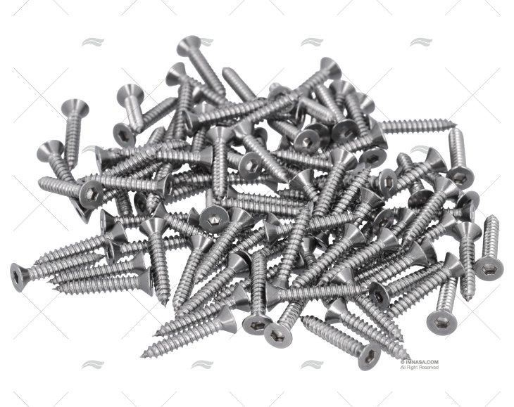 TORNILLO AISI316 4,2x25mm CAB.EXAG. 100u FORESTI SUARDI