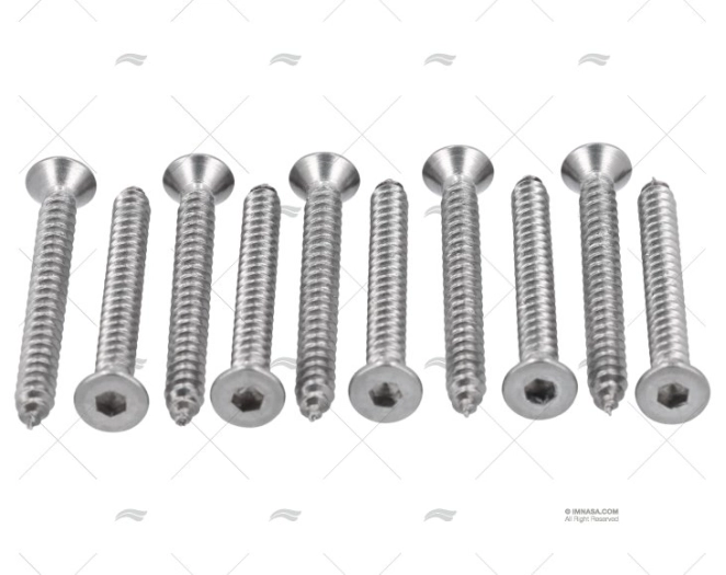 SS316 SOKET HEAD SCREW 4,2x38mm 10u