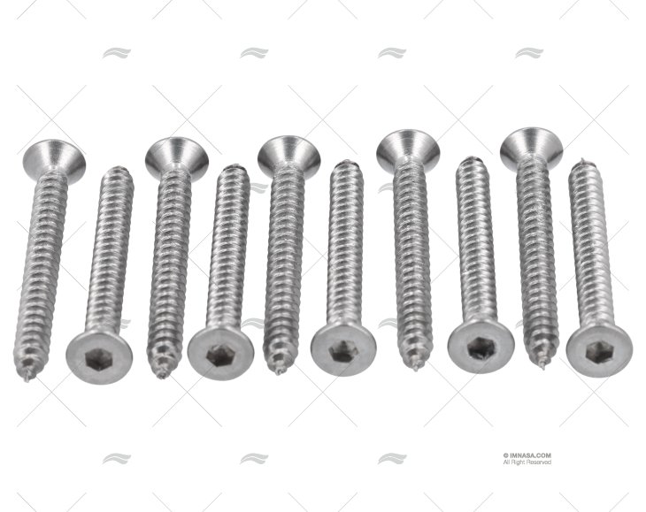 SS316 SOKET HEAD SCREW 4,2x38mm 10u
