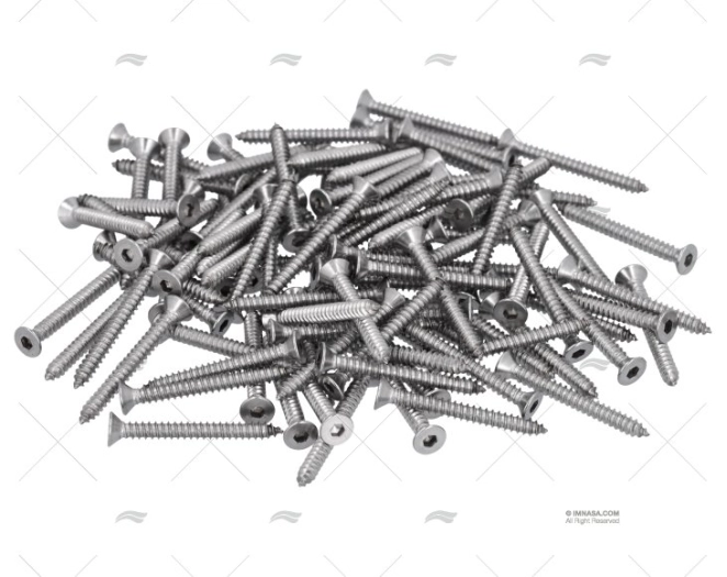 PARAFUSO AISI316 4,2x38mm CAB.EXAG. 100u FORESTI SUARDI