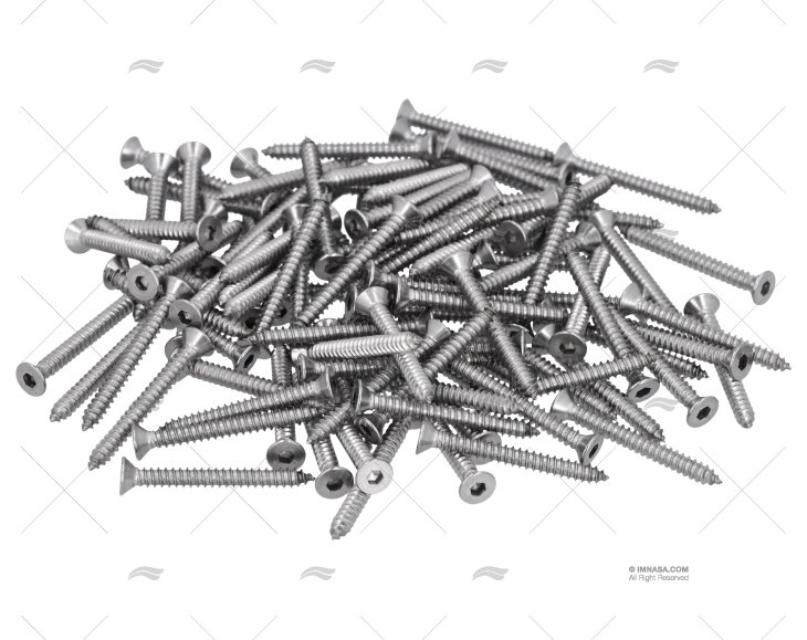 PARAFUSO AISI316 4,2x38mm CAB.SEXT. 100u FORESTI SUARDI