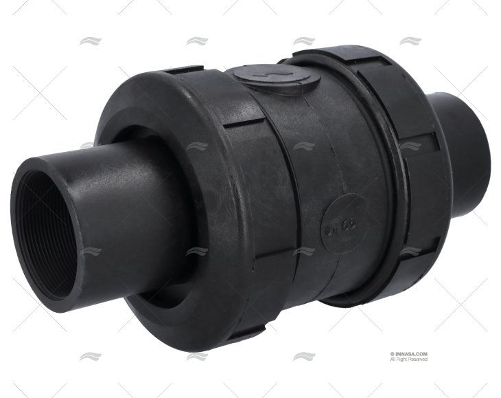 VALVOLA DI RITEGNO BSP  PPG 2"1/2 RANDEX IBERICA