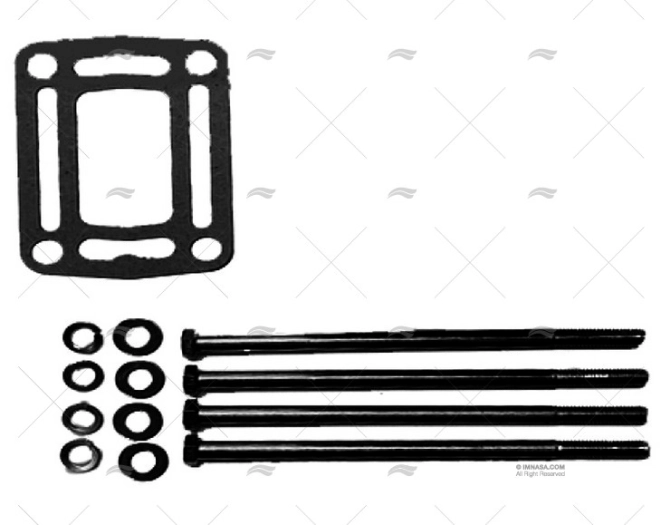 GASKET RISER VOLV V8