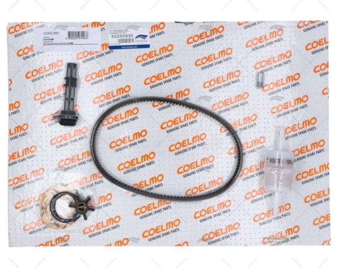 KIT MANUTENZIONE DM300 COELMO