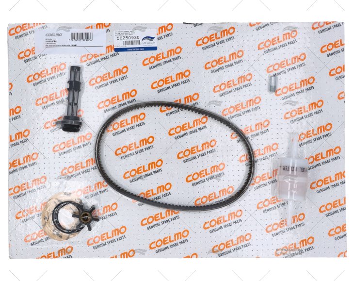 KIT MANUTENZIONE DM300 COELMO