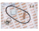 KIT MANUTENZIONE DM900 COELMO