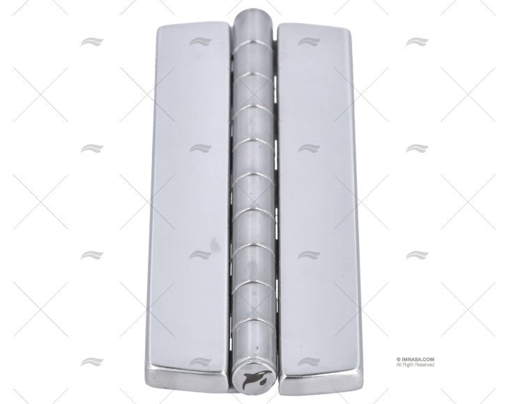 COVERED SEAM FRICTION HINGE SS 316 130mm MARINE TOWN