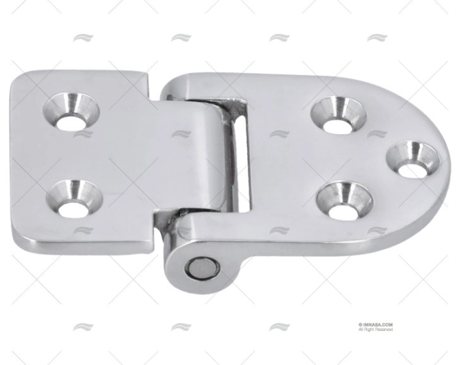 TORQUE HINGE UNDER PIN SS 316 66x38mm