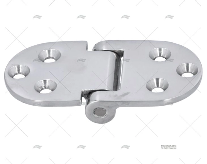 TORQUE HINGE UNDER PIN SS 316 76x38mm