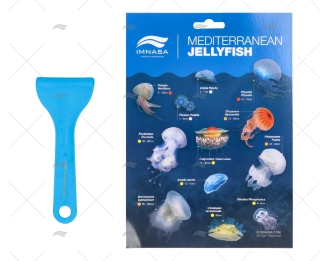 KIT LISTELLO MEDUSE CON SPATOLA