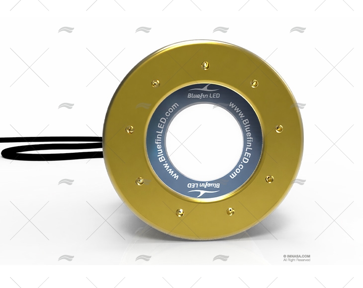 FEU MAKO M12 IFM 7100LM 24V BLANC BLUEFIN