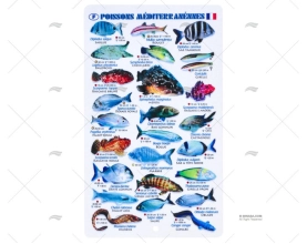 LISTELLO PESCI MEDITERRANEO FRANCESE