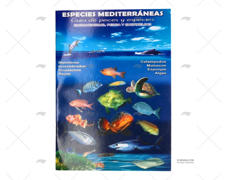 TABLILLA PECES MEDITERRANEO ALEMAN