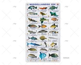 RIPA PEIXES MEDITERRÂNEOS HOLANDESES