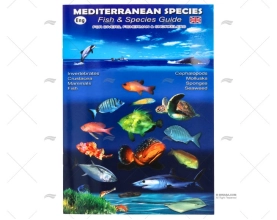 DOBRÁVEL PEIXES MEDITERRÂNEO INGLÊS