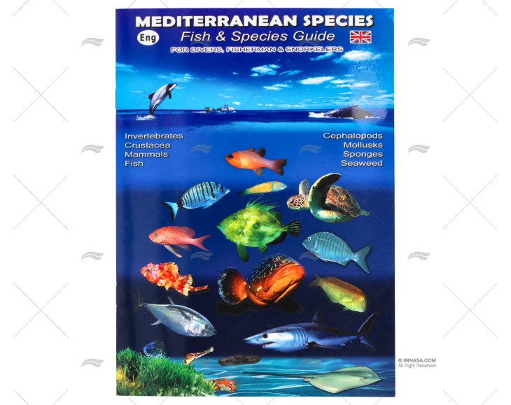 DOBRÁVEL PEIXES MEDITERRÂNEO INGLÊS