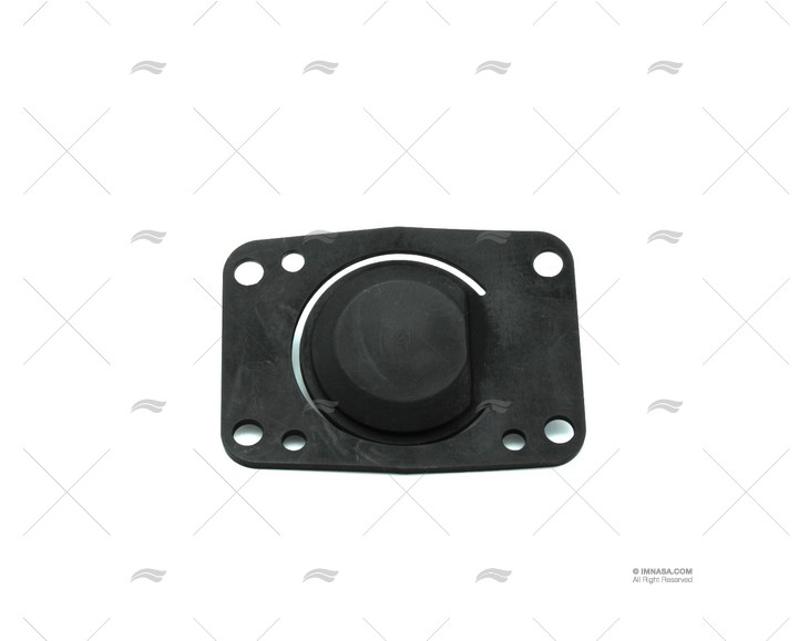 VALVE BASE GASKET  (29090/120)