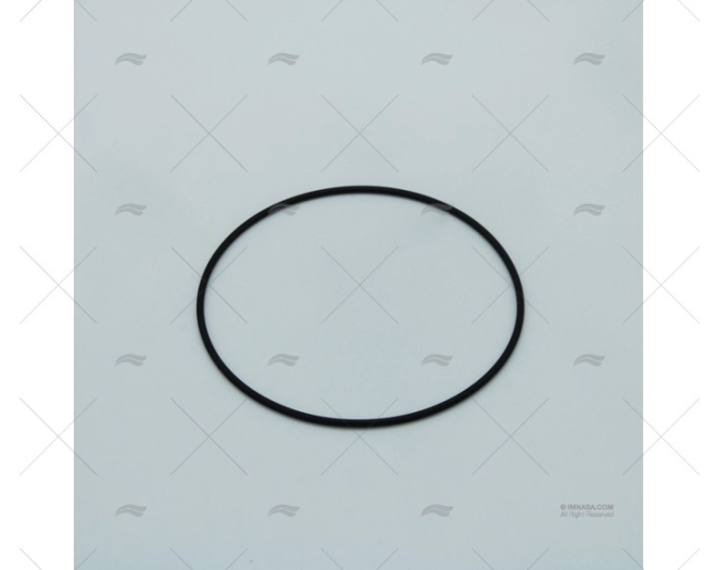 GUARNIZIONE TORICA DISCO D'USURA MOD.37010