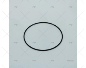 GUARNIZIONE TORICA DISCO D'USURA MOD.37010