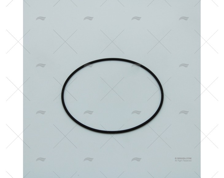 GUARNIZIONE TORICA DISCO D'USURA MOD.37010