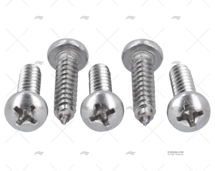 VITE DIN7981 A4 5.5x25 (5)