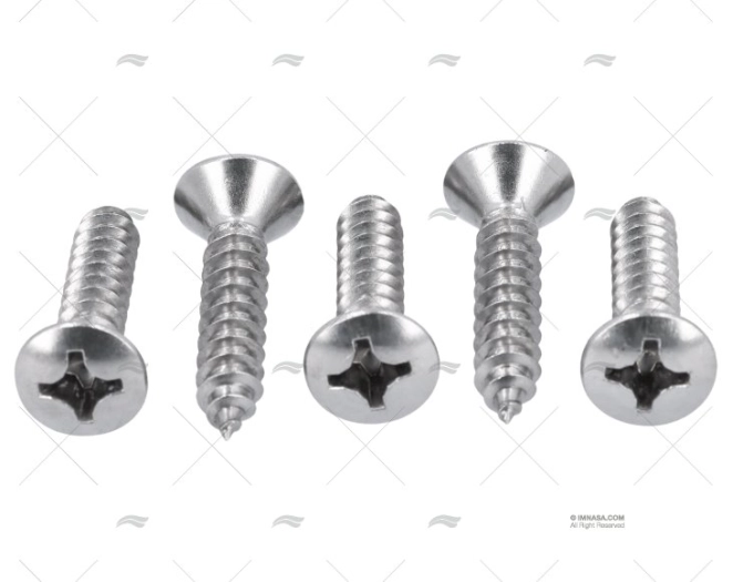 VITE DIN7983 A4 5.5x25 (5)