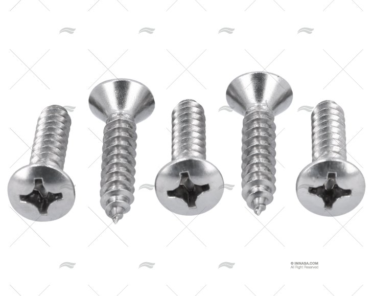 VITE DIN7983 A4 5.5x25 (5)