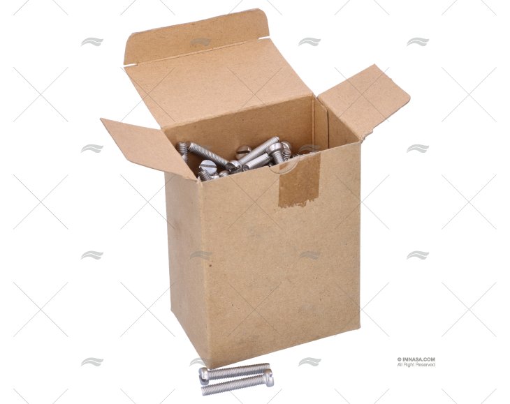 BOLT DIN84 A4 6x35(200)