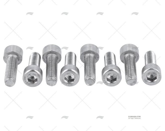 VITE DIN912 A4 5x16 (8)