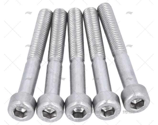 VITE DIN912 A4 5x40 (5)