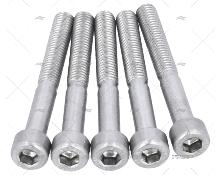 VITE DIN912 A4 5x40 (5)