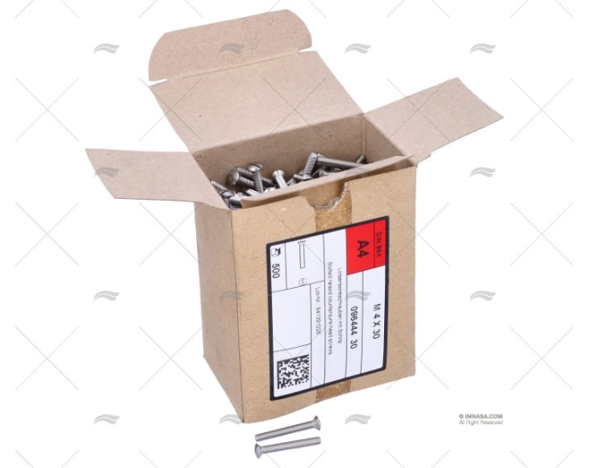 BOLT DIN964 A4 4x30 (500)