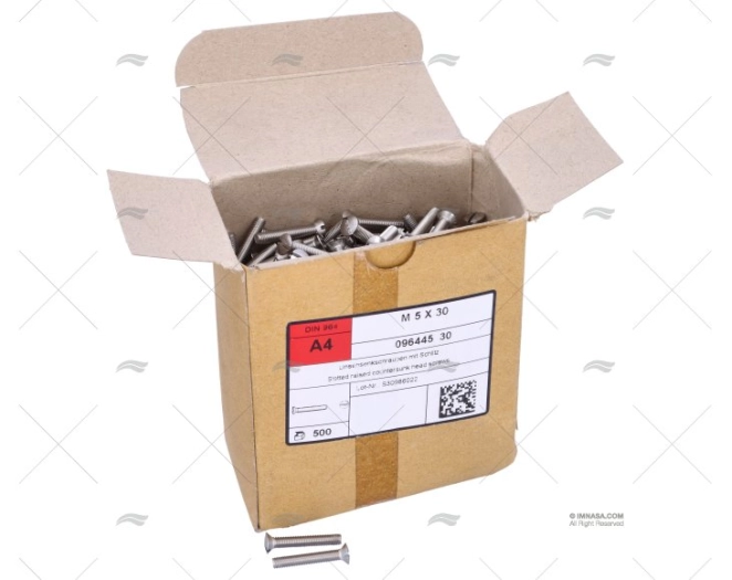 PARAFUSO DIN964 A4 5x30 (500)