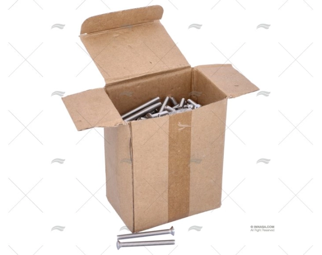 PARAFUSO DIN964 A4 6x60 (200)