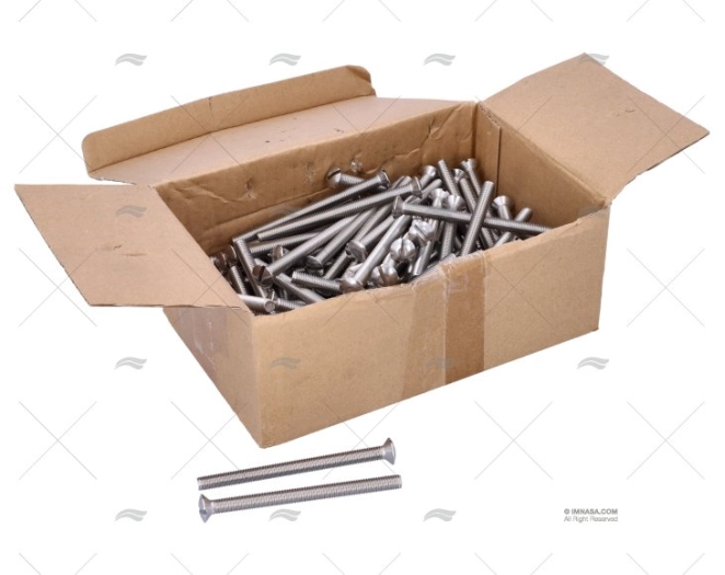 BOLT DIN964 A4 8x100 (100)