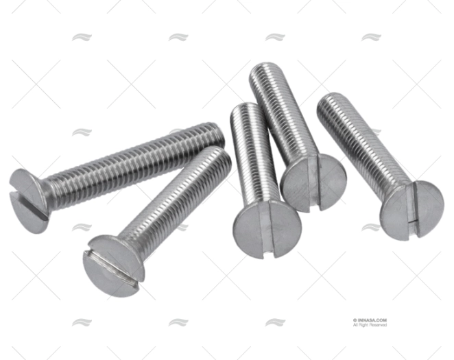 VITE DIN963 A4 5x30 (5)2,5